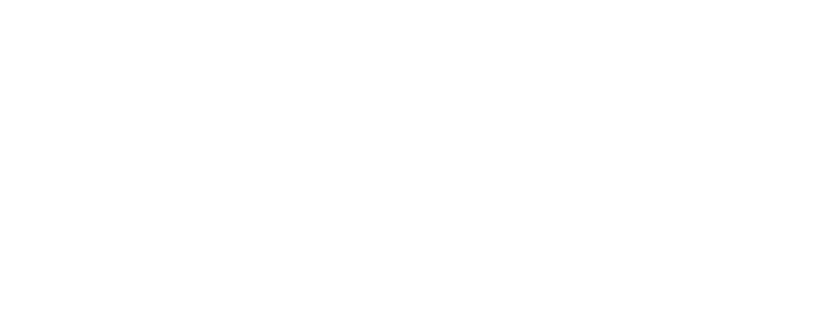 partner-img-bino