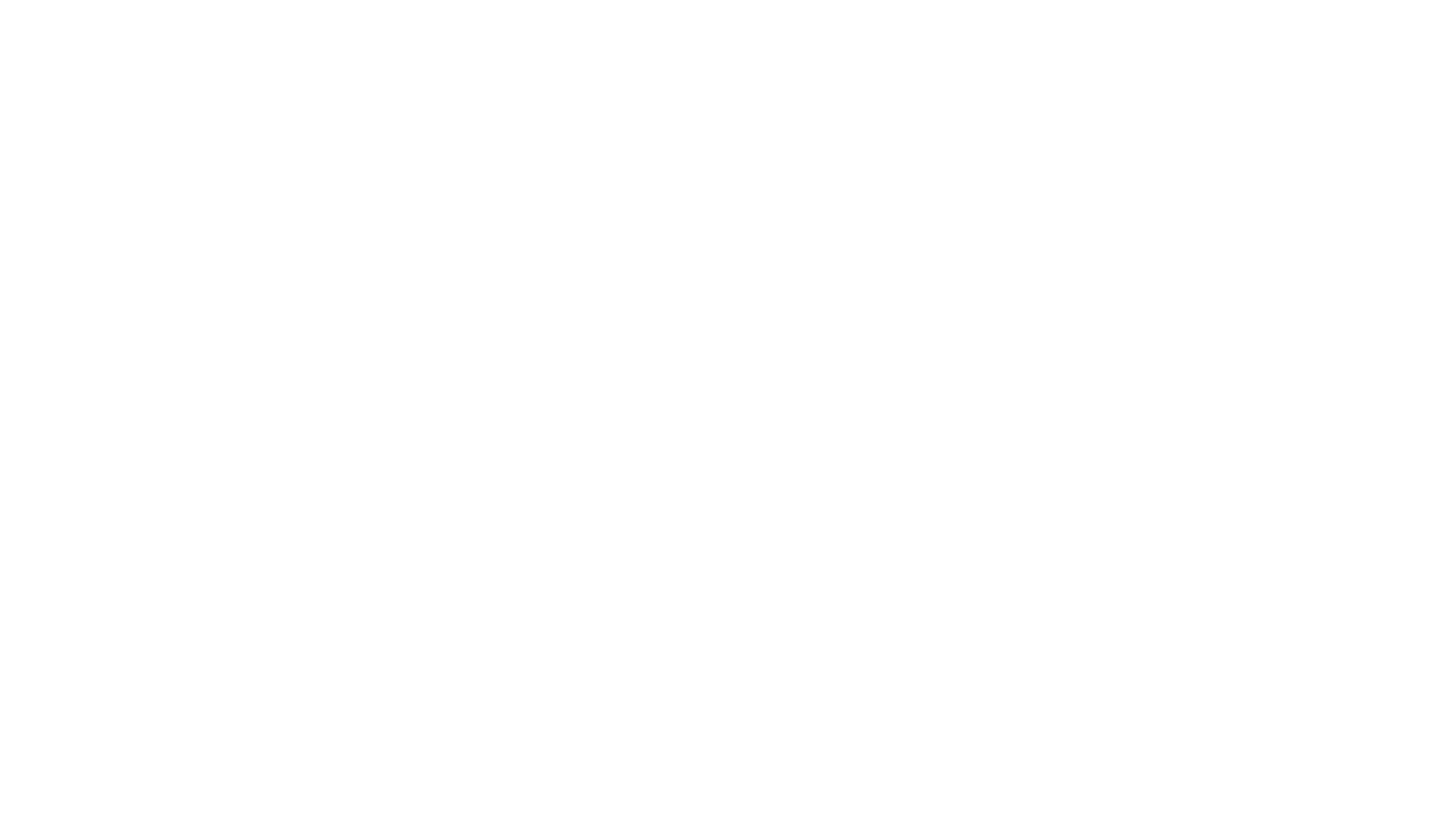 partner-img-blackDragon