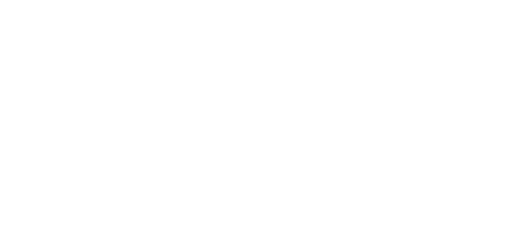 partner-img-Momentum6